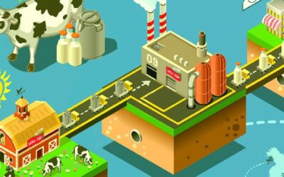 6 razones para implantar un sistema de trazabilidad en tu negocio